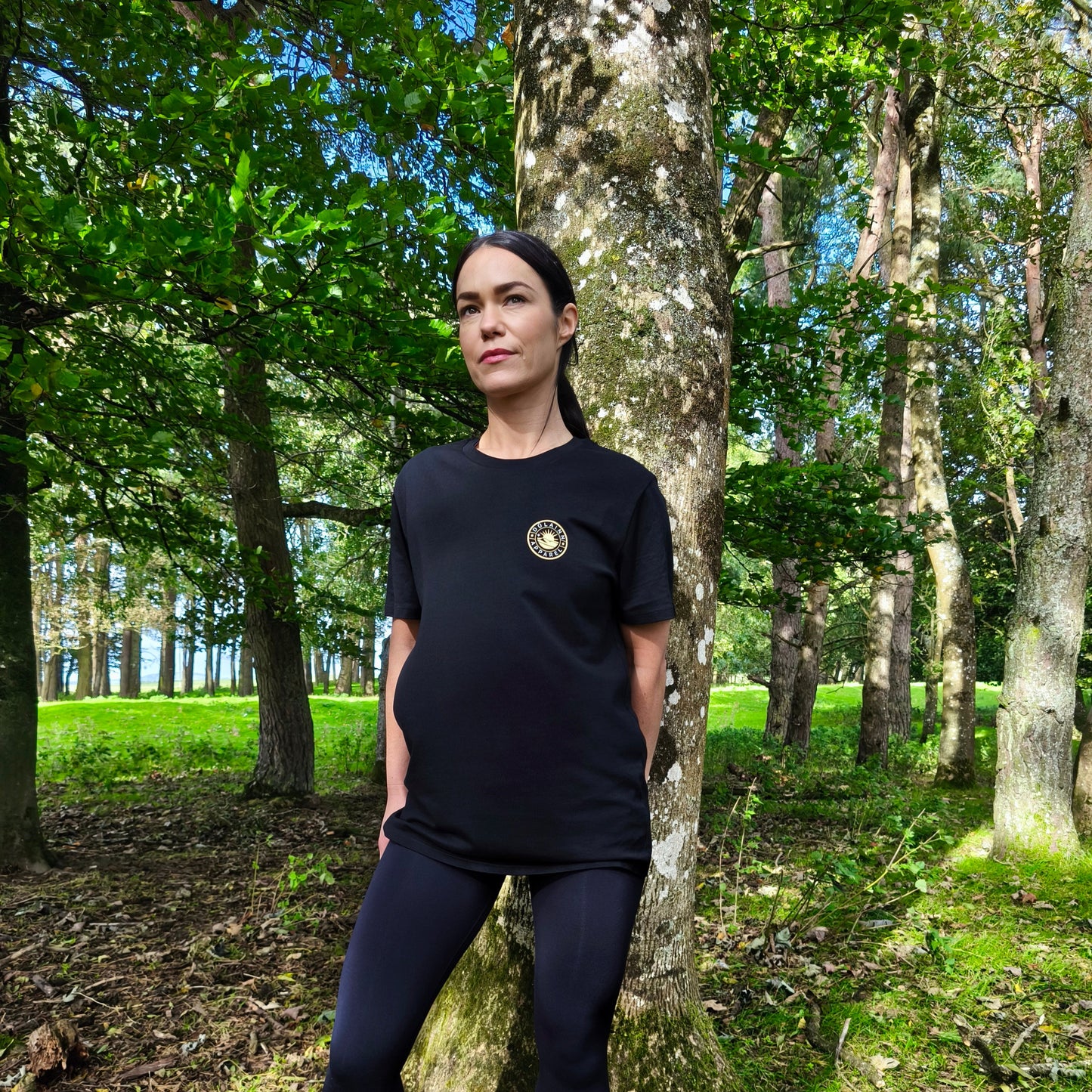 Dúlainn Apparel Unisex Heavyweight T-Shirt (Generic Black)